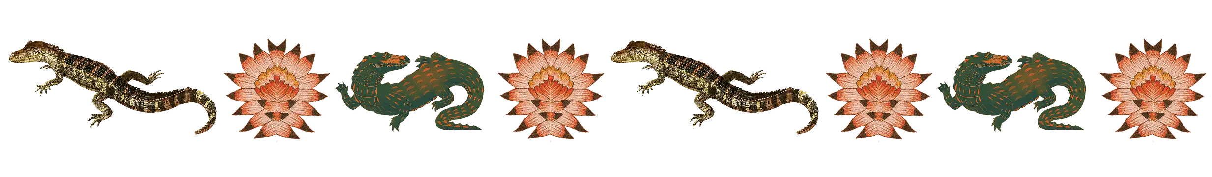 Caimanes, iguanas y lotos